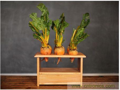 害怕圣誕節(jié)沒創(chuàng)意？看看發(fā)燒友們?cè)趺催^圣誕