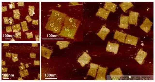 中美科學家聯(lián)手，用DNA納米機器人殺死癌細胞