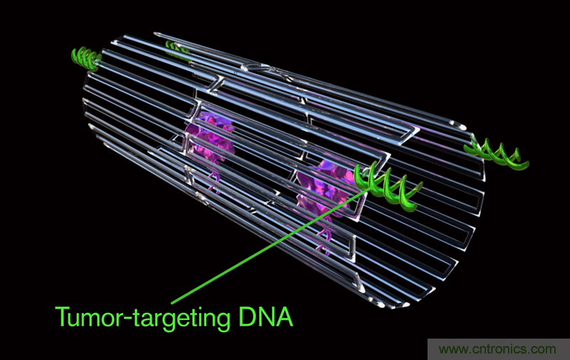 中美科學家聯(lián)手，用DNA納米機器人殺死癌細胞