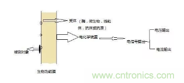 仿生傳感器的定義、原理、分類及應(yīng)用