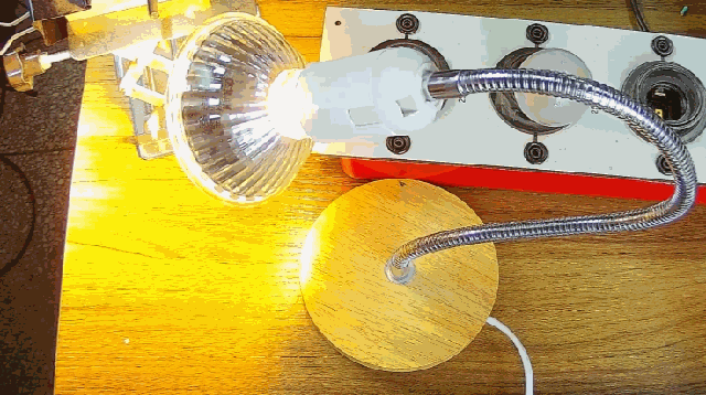 電燈泡內(nèi)通有交流電，為什么看不到燈泡在閃爍？