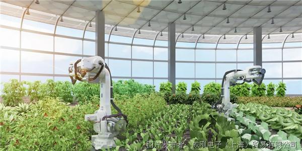 智慧農(nóng)業(yè)大有可為，“數(shù)字種地”更輕松